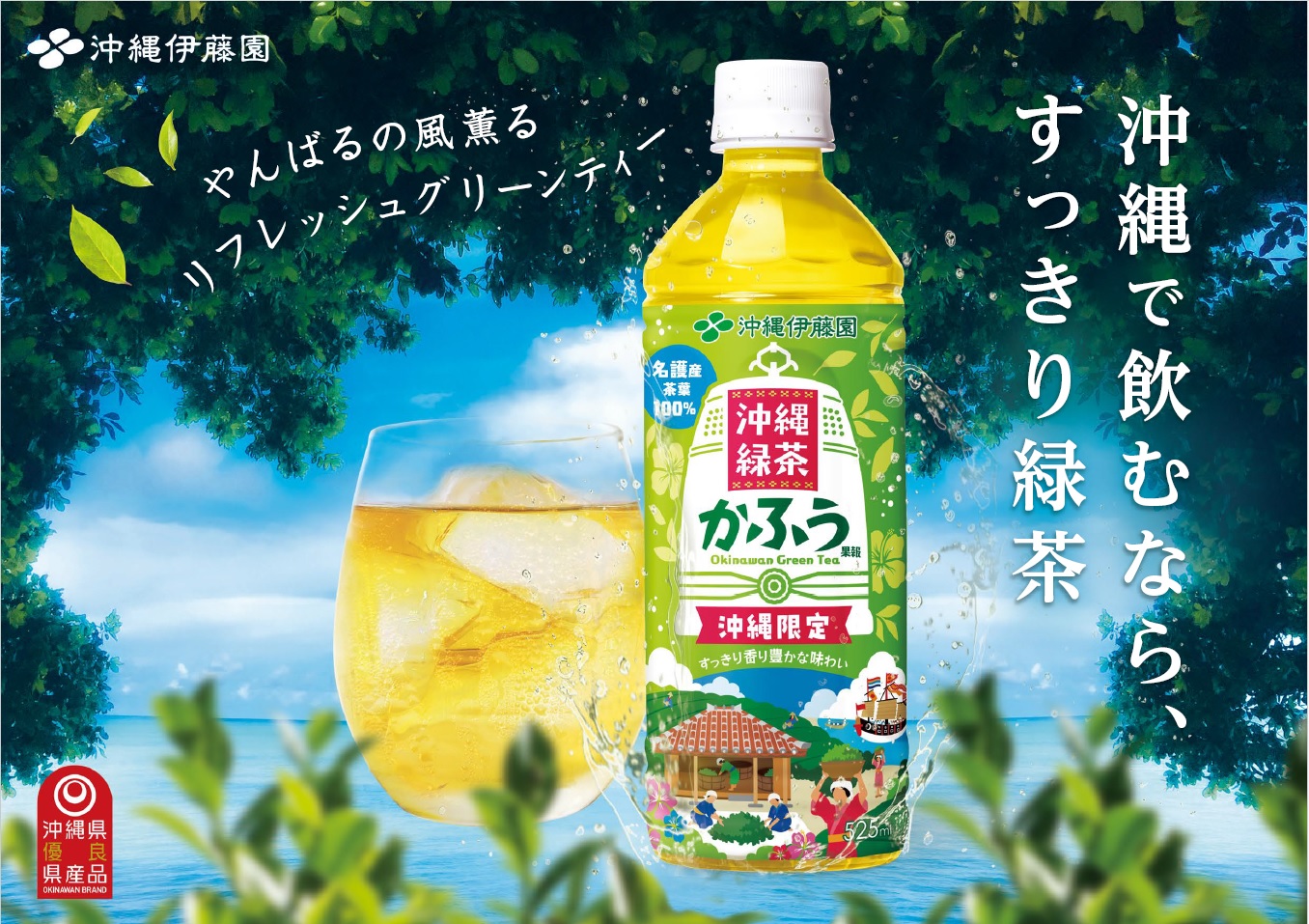 「沖縄緑茶 かふう」7月1日（月）リニューアル発売