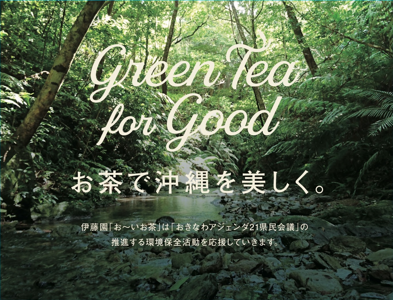 「Green Tea for Good」環境活動”お茶で沖縄を美しく。” のお知らせ